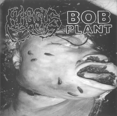 Haggus : Bob Plant - Haggus